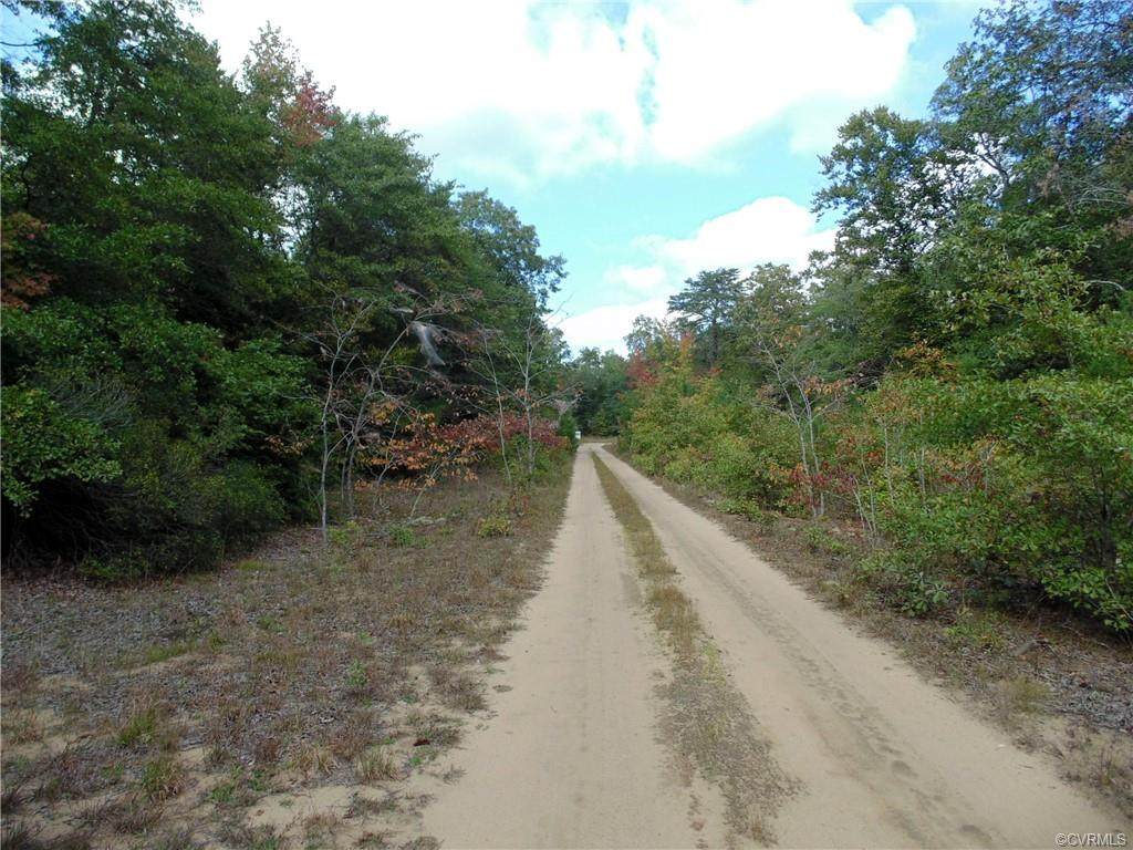 Lot 12 Dragon Run Rd. - Photo 1