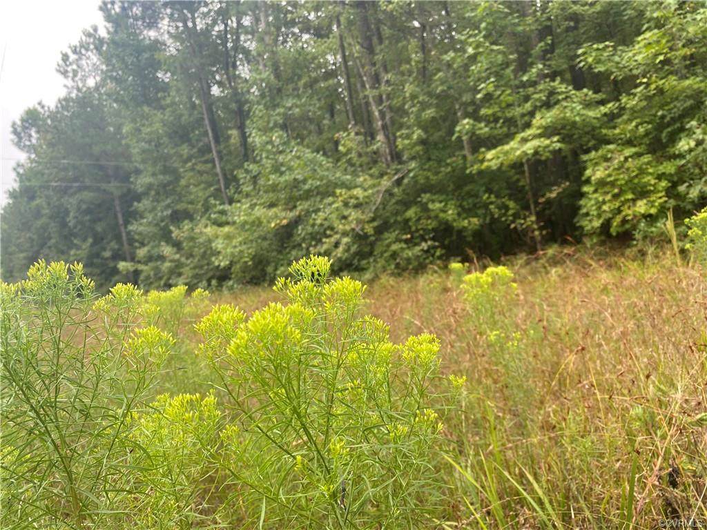 0 Discovery Lane - Photo 1
