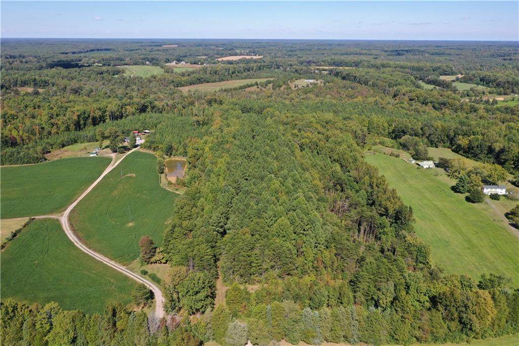 17226 Parsons Road - Photo 1