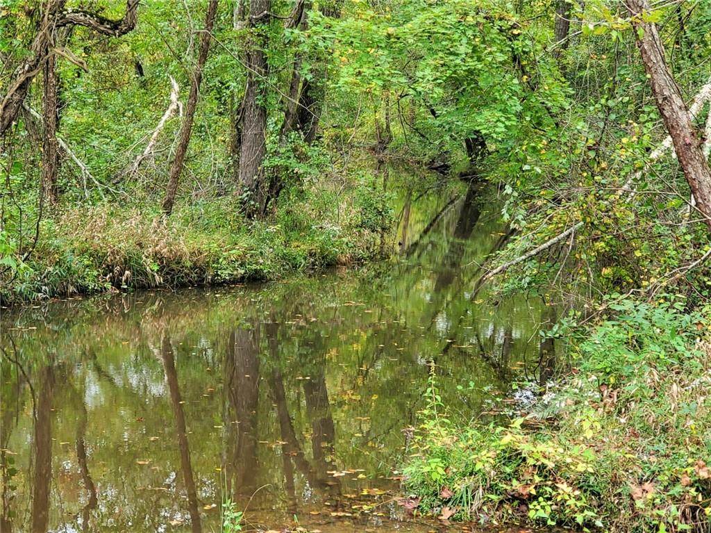 135 ACRES Gregory Mill Lane - Photo 1