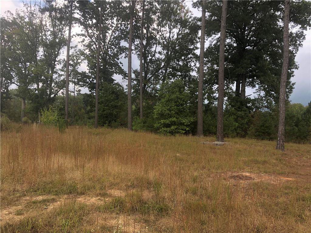 10330 Genito Road - Photo 1