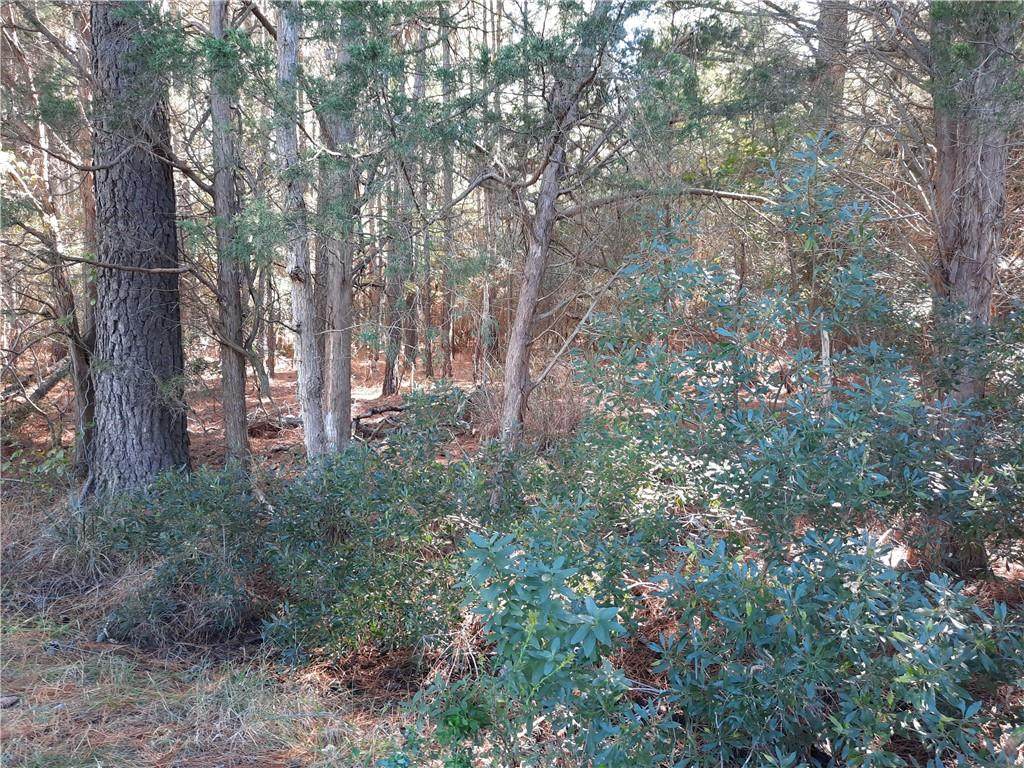 00 Hurst Neck Road - Photo 1