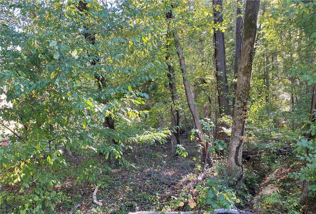 00 Chippewa Lane - Photo 1