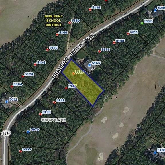 5153 Brandon Pines Way - Photo 1