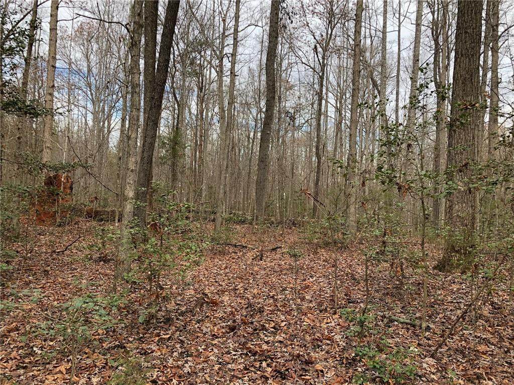 15396 Beaver Dam Road - Photo 1