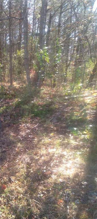 0 Cedar Plains Road - Photo 1