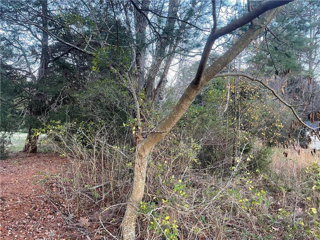 Lot 2 Willow Brook Rd - Photo 1
