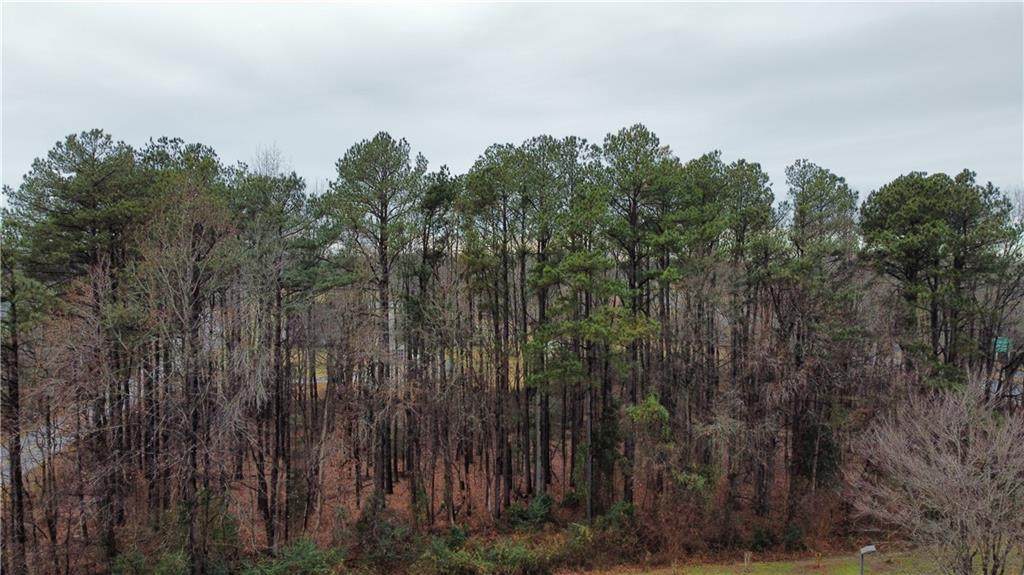 525 Old Wagner Road - Photo 1