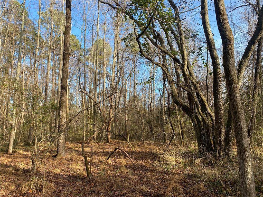 0 Shady Lane - Photo 1