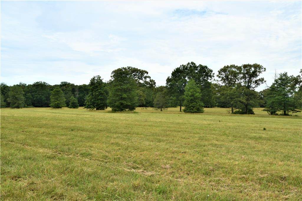 11082 Mount Hope Church Road - Photo 1