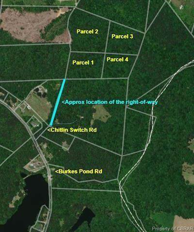 00 Chitlin Switch Road - Photo 1