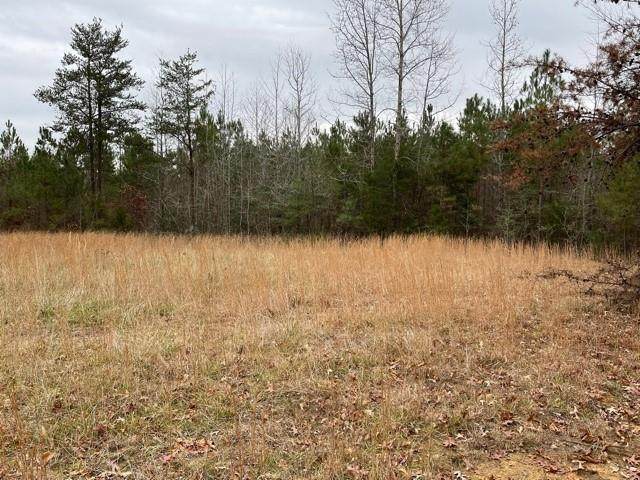 21404 Landora Bridge Road - Photo 1