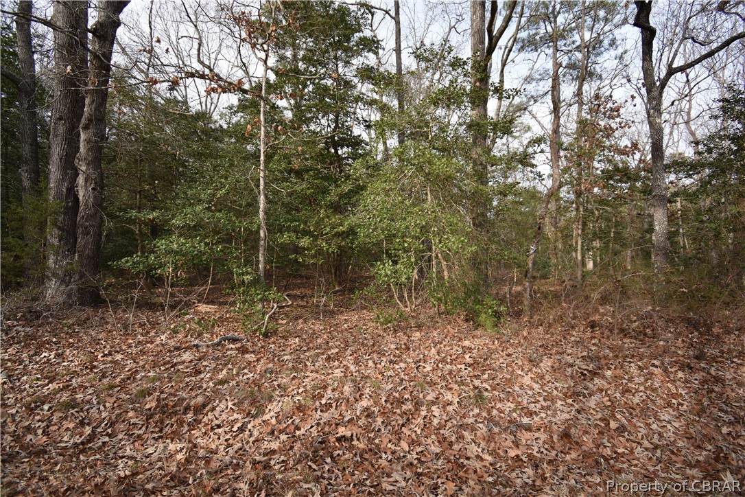 Lot 65 Senora St. - Photo 1