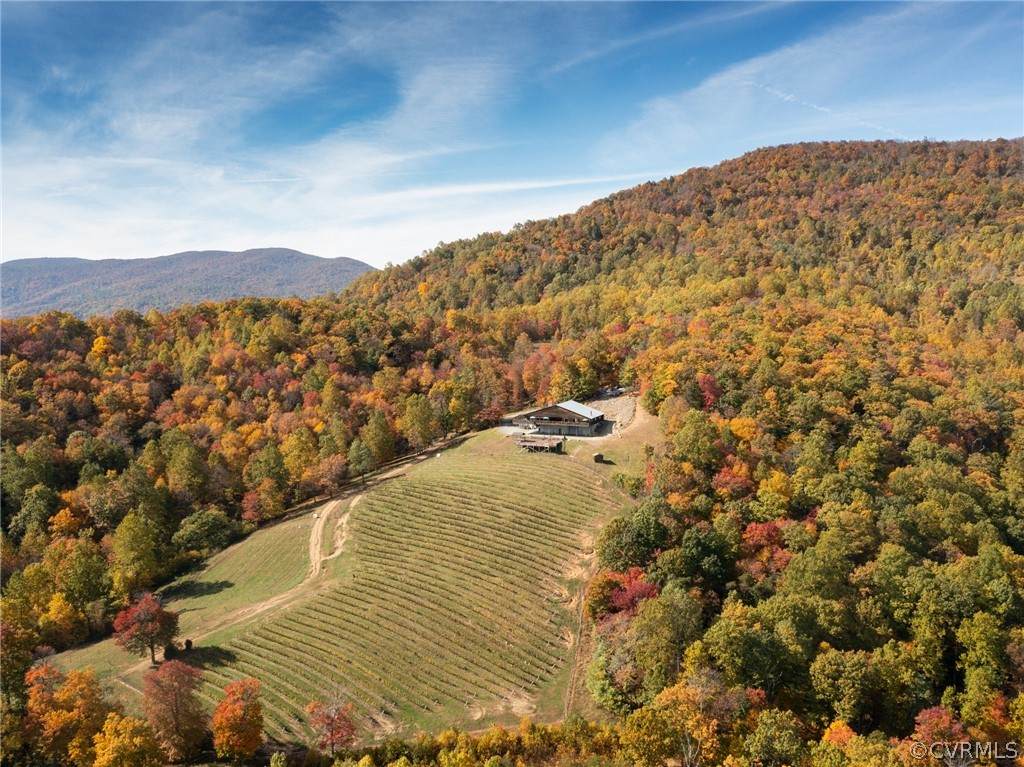 1376 Wyatt Mountain Road - Photo 1