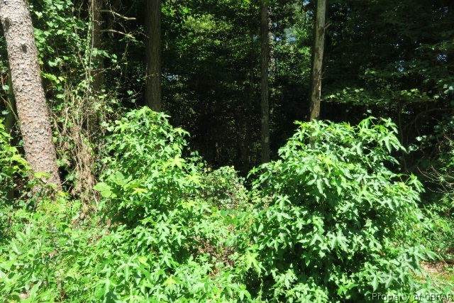 00 Ridge Road - Photo 1