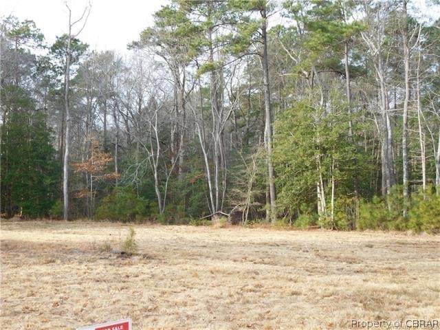 530 Buckschase Road - Photo 1