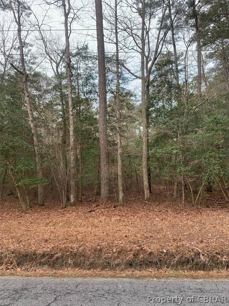 2.5 AC Low Ground Road - Photo 1
