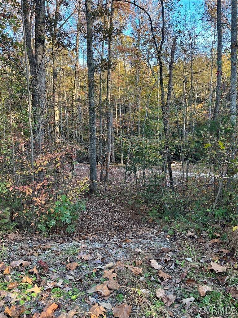 2401 Cheney Creek Road - Photo 1