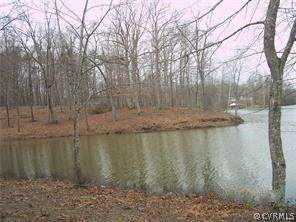 Lot 4 Chesdin Pointe Trail - Photo 1