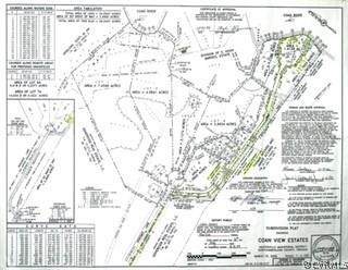 000 Nokomis Lane - Photo 1
