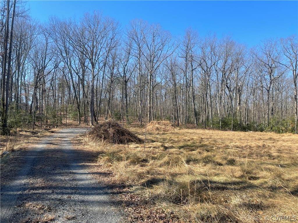 Lot 53B Chopping Rd - Photo 1