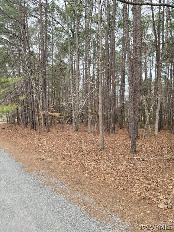 TBD Jonesboro Road - Photo 1
