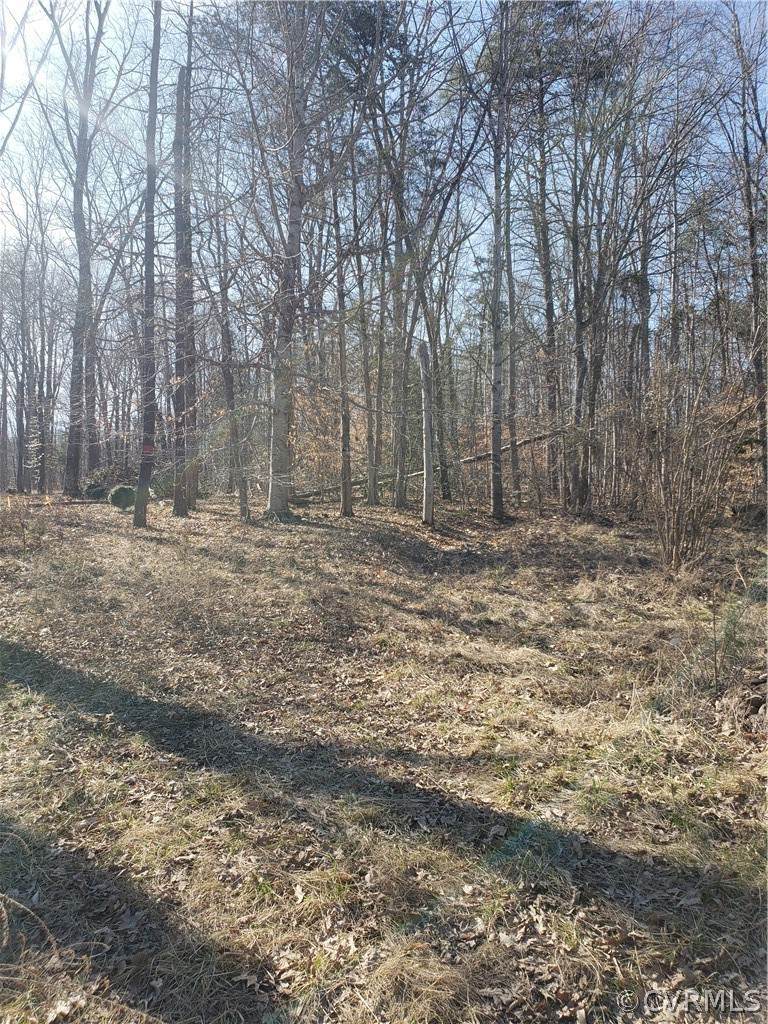 1198 Lickinghole Road - Photo 1