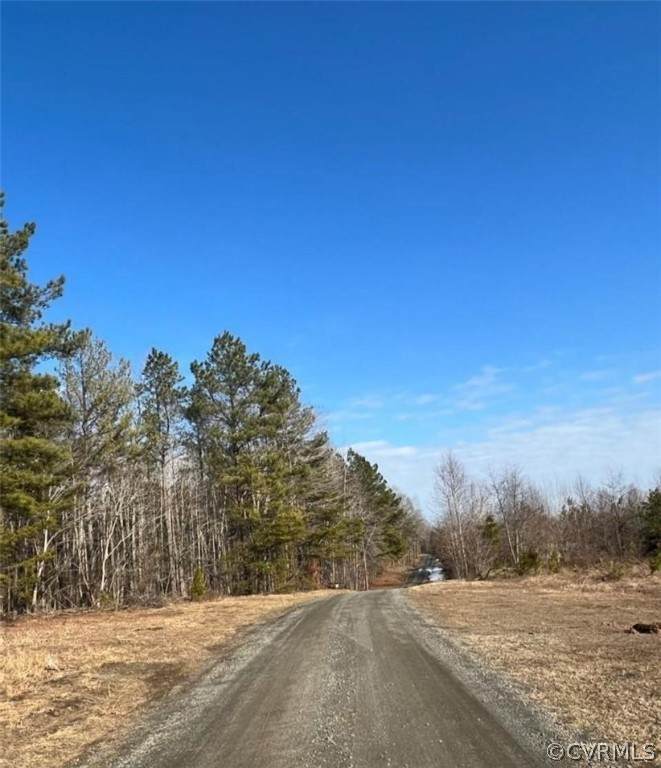 0000 Carys Creek Road - Photo 1