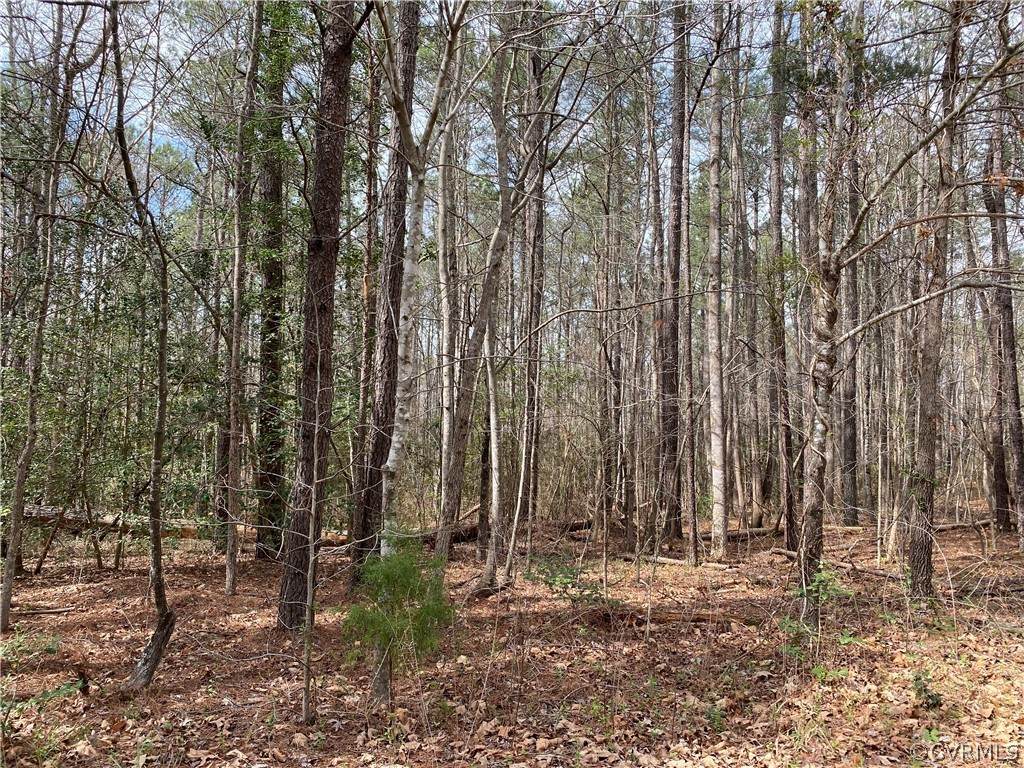 8484 Greenpeace Lane - Photo 1