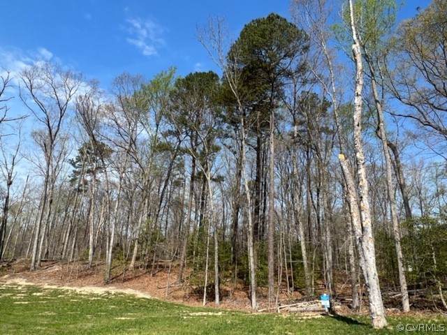 12012 Autumn Knoll Drive - Photo 1