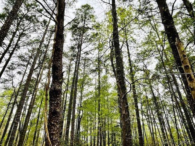.56 AC Meadowview - Photo 1