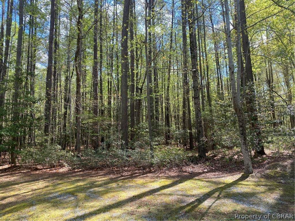 46 Eagles Trace - Photo 1