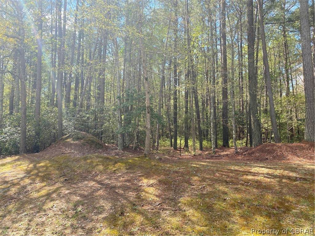 85 Eagles Trace - Photo 1