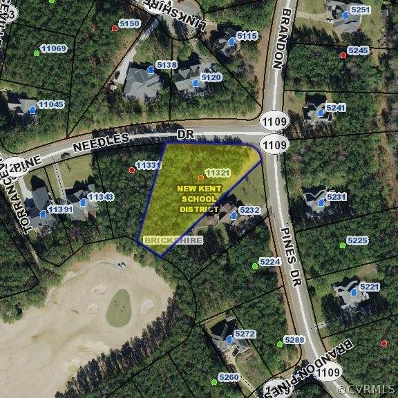 11321 Pine Needles Drive - Photo 1