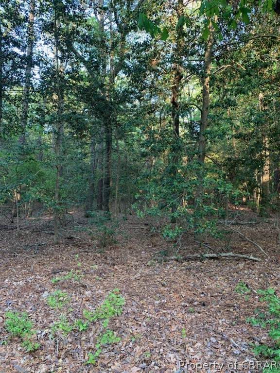 17.8AC Cherry Point Road - Photo 1