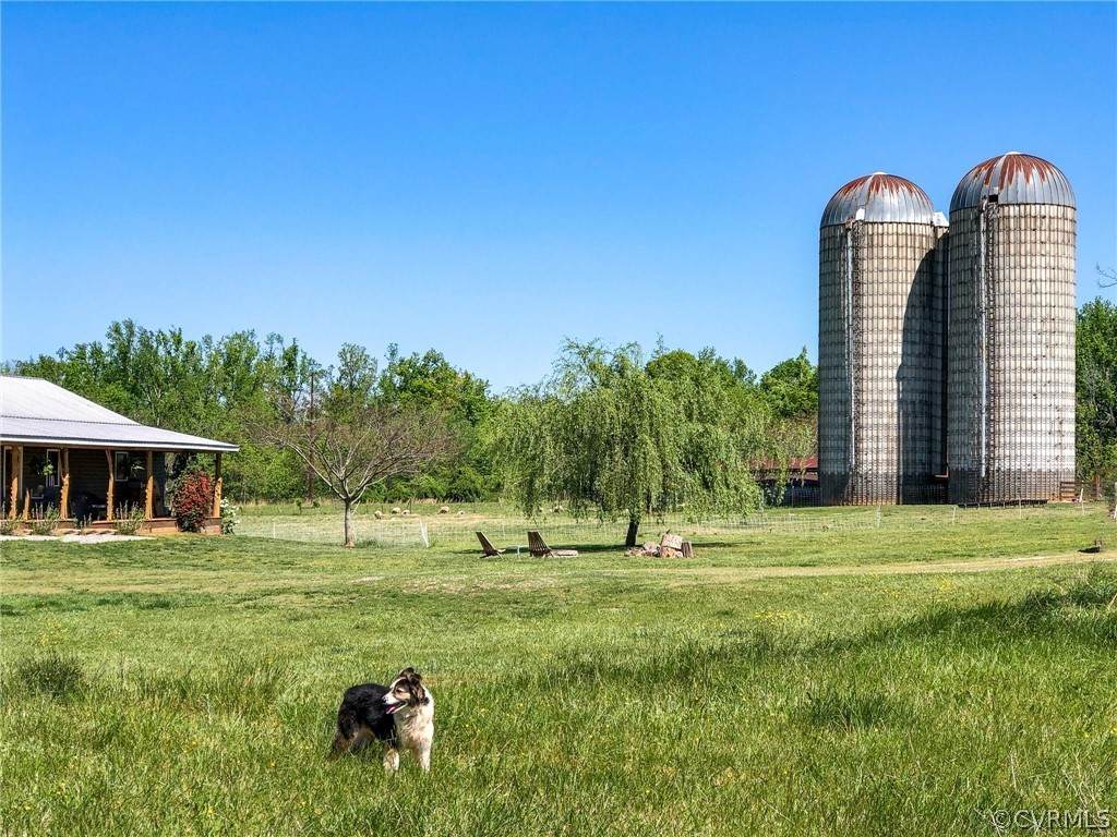 3655 Nutbush Road - Photo 1