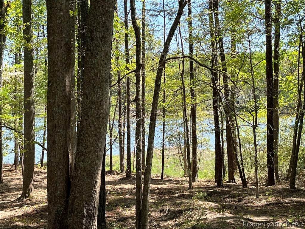 00 Bayberry Lane - Photo 1
