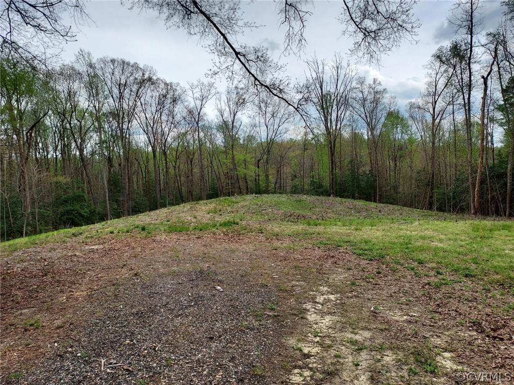 000 Beatties Mill Road - Photo 1