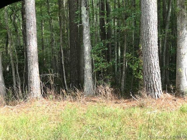 011 Bellevue Road - Photo 1