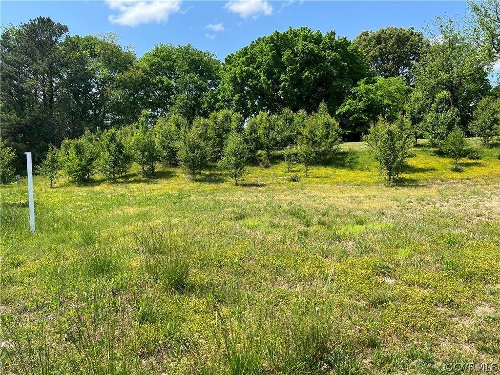 10210 Krause Road - Photo 1