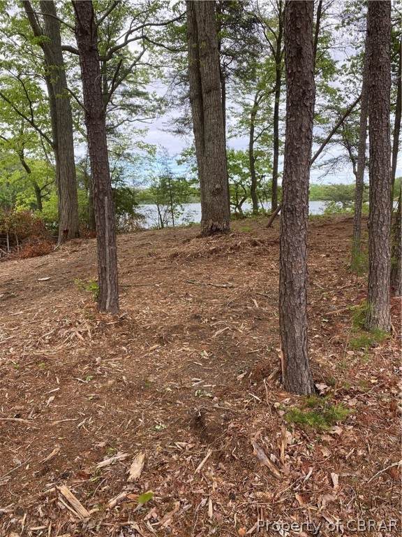 0000 Whittstat Lane - Photo 1