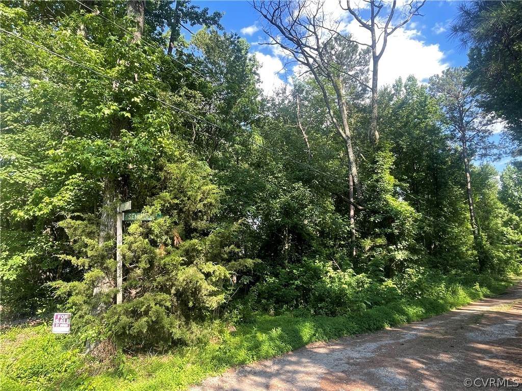 2231 Wonderview Drive - Photo 1