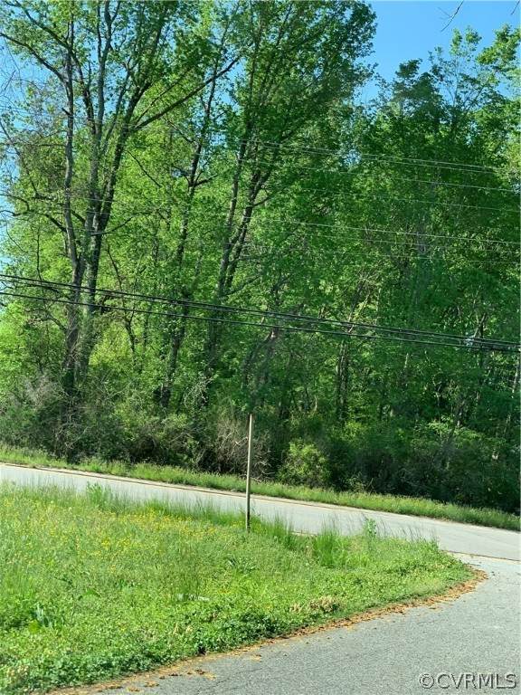 Cor. Rt 40 & Flat Foot Road - Photo 1