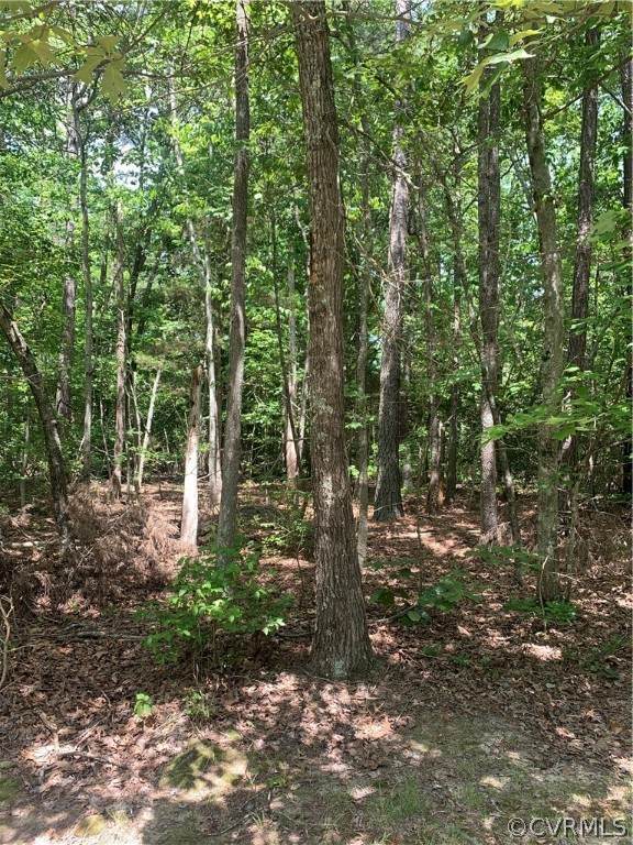 0 Route 601 - Photo 1