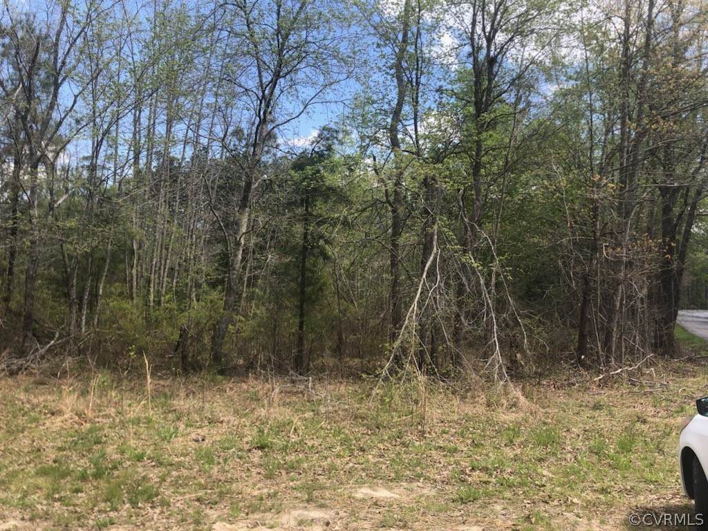 0000 Schutt Road - Photo 1
