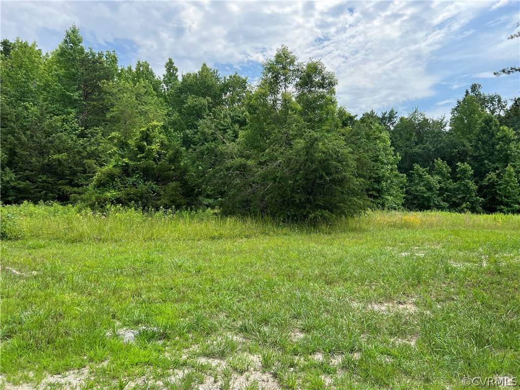 3979 Helmut Lane - Photo 1