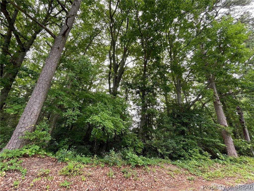 0 Merry Point Road - Photo 1