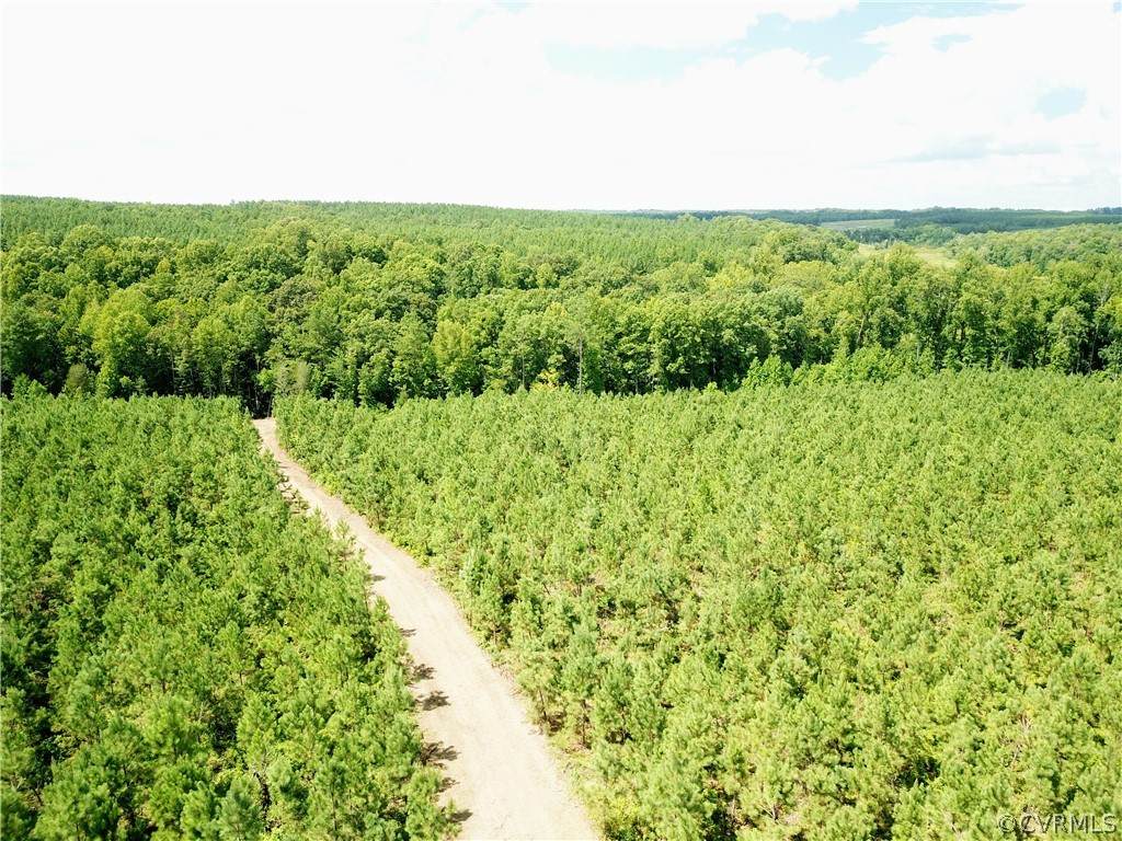 TBA Lot 2 Sports Lake Road - Photo 1