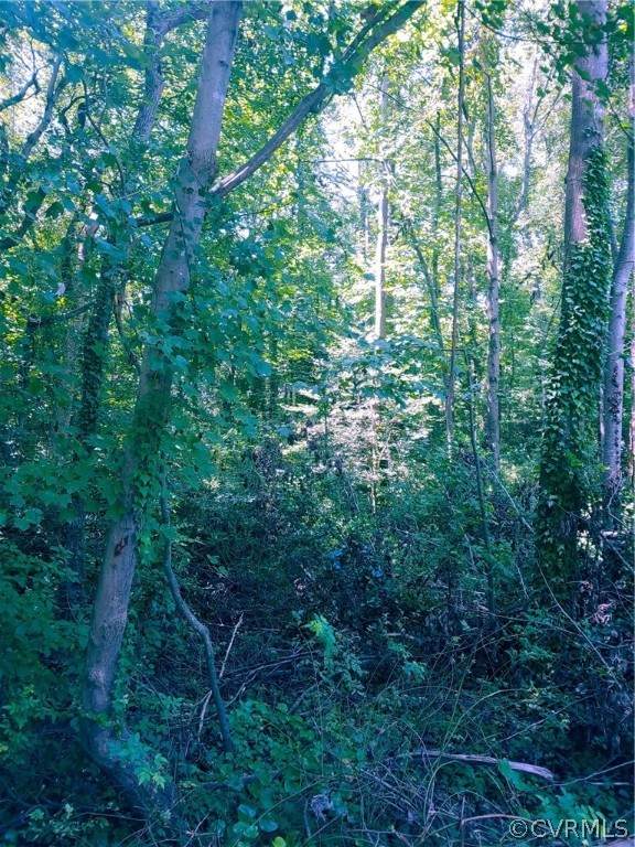 11800 Shady Lane - Photo 1