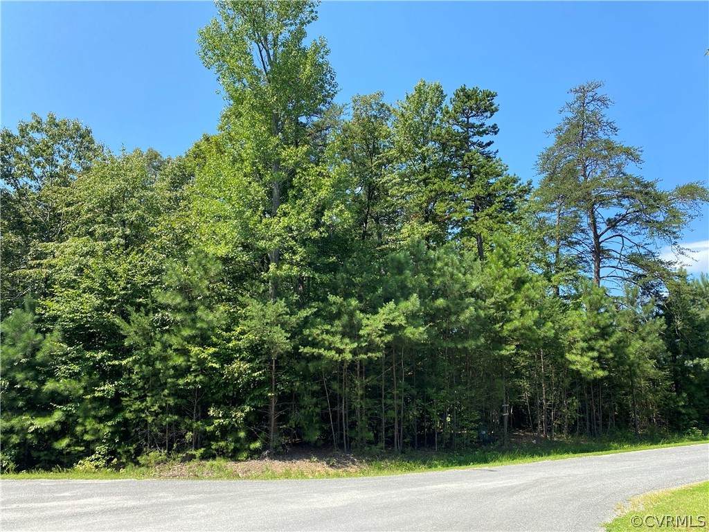 33056 Walnut Grove Farm Lane - Photo 1